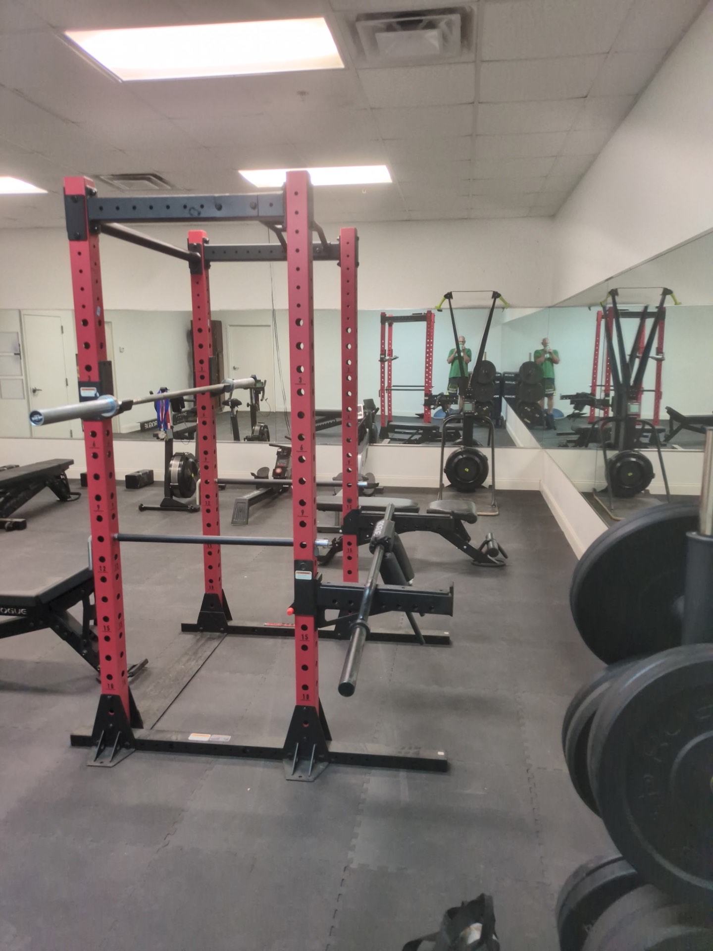Power rack and free weights